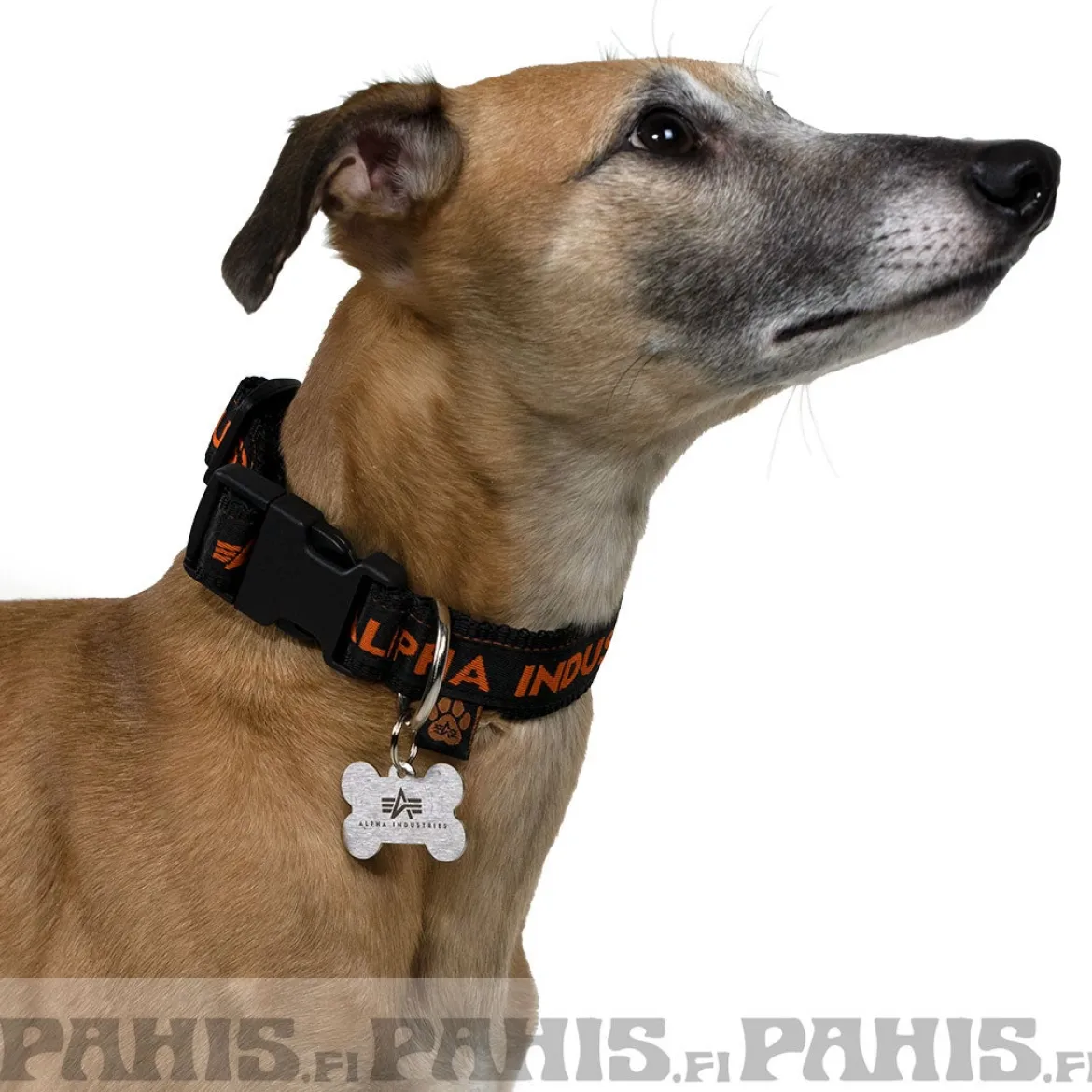 AI Dog-Tag-koiran kaulapanta
