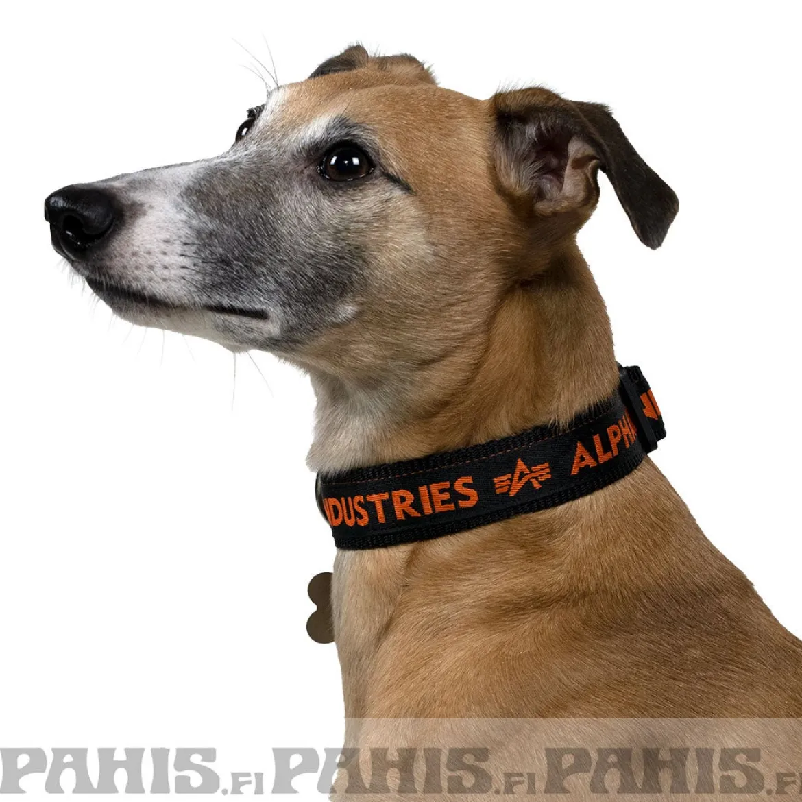 AI Dog-Tag-koiran kaulapanta