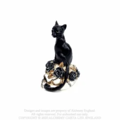Alchemy Cat Skull - Mini koriste esine