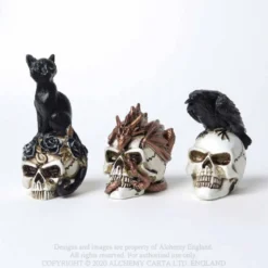 Alchemy Cat Skull - Mini koriste esine