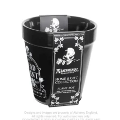 Alchemy Dead Plant - Kukkaruukku