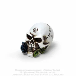 Alchemy Gothic Alchemist Skull - Mini koriste esine