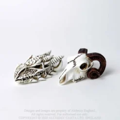 Alchemy Gothic Rams Skull - Mini koriste esine