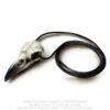 Alchemy Gothic Raven Skull - Koriste esine