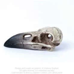 Alchemy Gothic Raven Skull - Koriste esine
