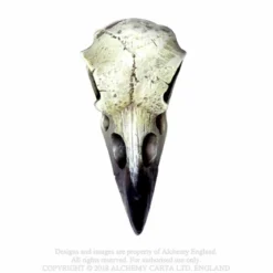 Alchemy Gothic Raven Skull - Koriste esine