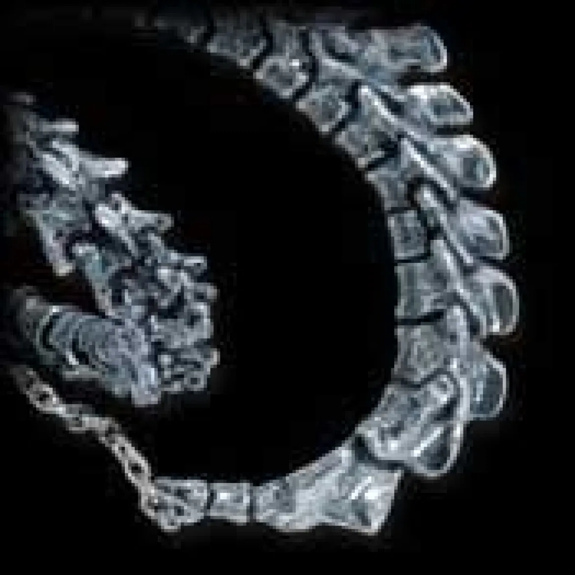 Alchemy Gothic Vertebrae - Ranneketju