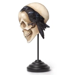 Alchemy Nevermore Skull - Koriste