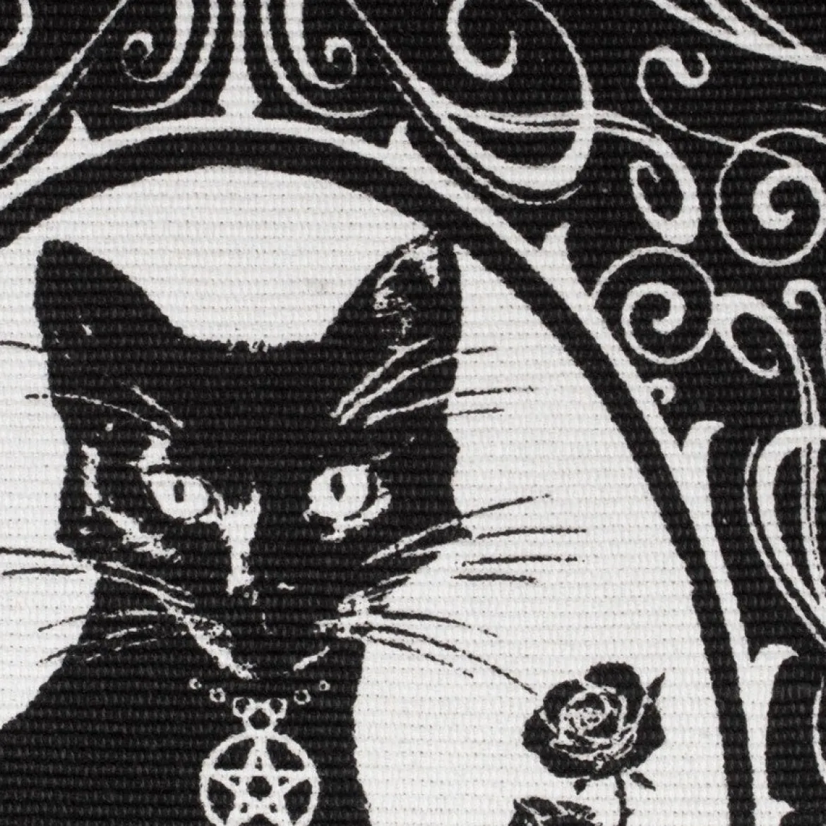 Alchemy Paracelsus The Philosopher's Familiar - Matto