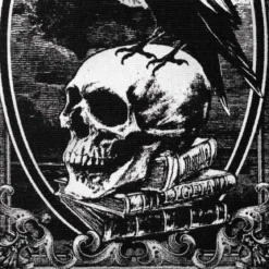 Alchemy Poe's Raven - Matto