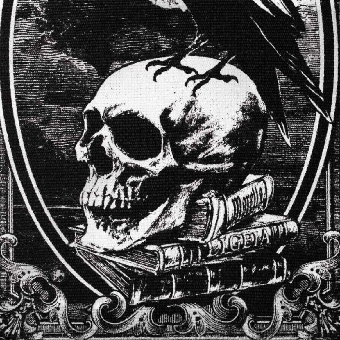 Alchemy Poe's Raven - Matto