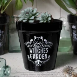 Alchemy Witches Garden - Kukkaruukku