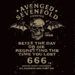 Avenged Sevenfold Sieze the Day - Lasinalunen