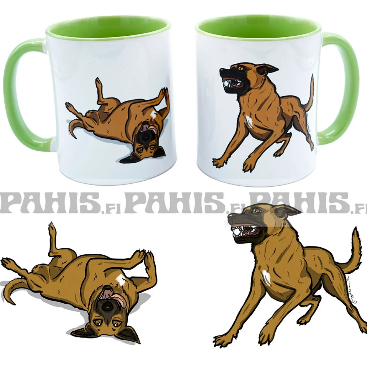 Belgianpaimenkoira, Malinois - Muki