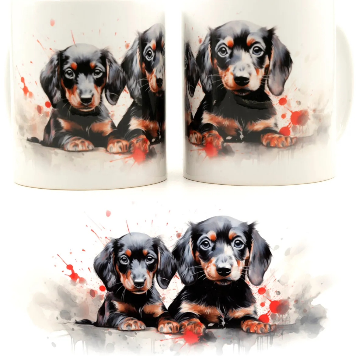 Black Dachshund puppies-Muki