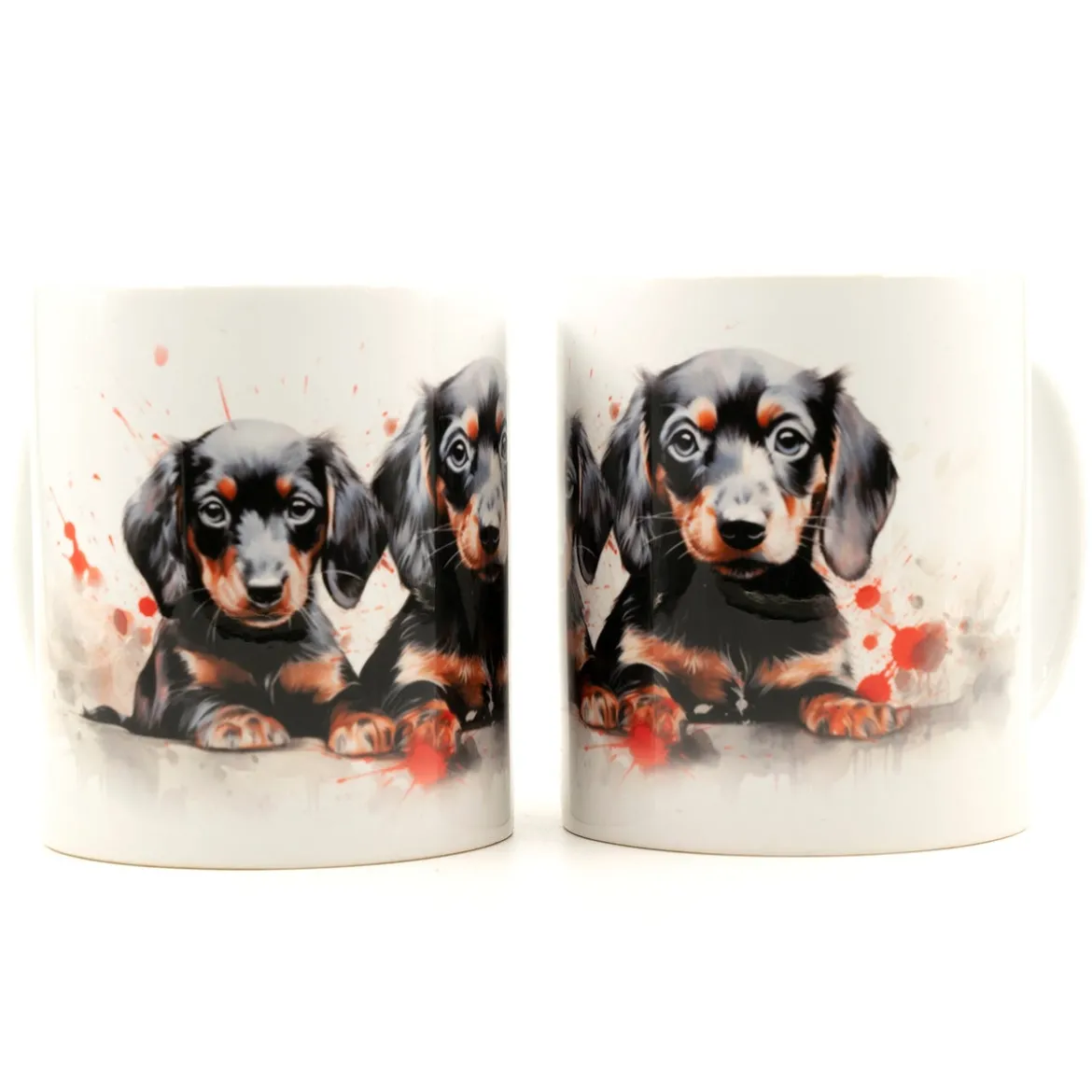 Black Dachshund puppies-Muki