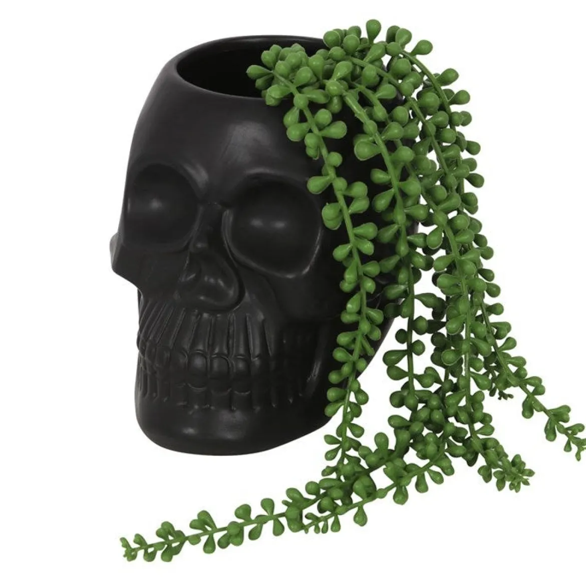 Black Skull - Kukkaruukku