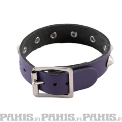Bullet 69- Niittiranneke, 1 row conical, Purple