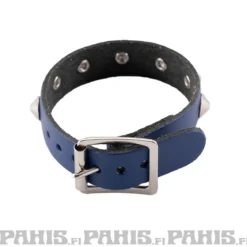 Bullet 69- Niittiranneke, 1 row conical, Blue