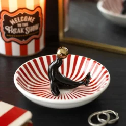 Circus Seal - Korulautanen