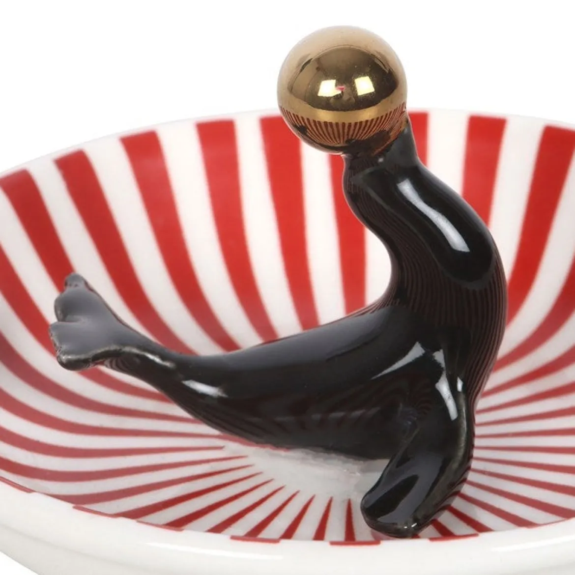 Circus Seal - Korulautanen