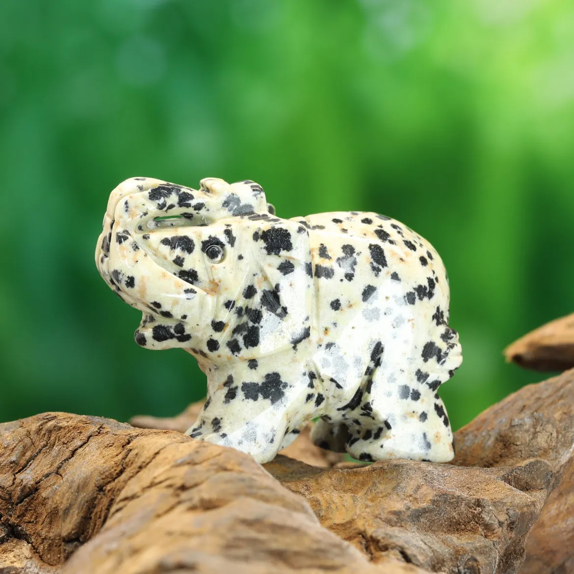 Dalmatian-jaspis - Elefantti, 5cm