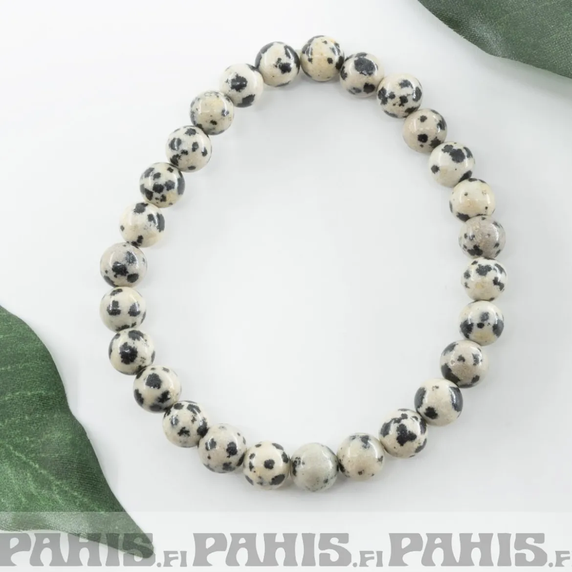 Dalmatian -Jaspis - Helmirannekoru