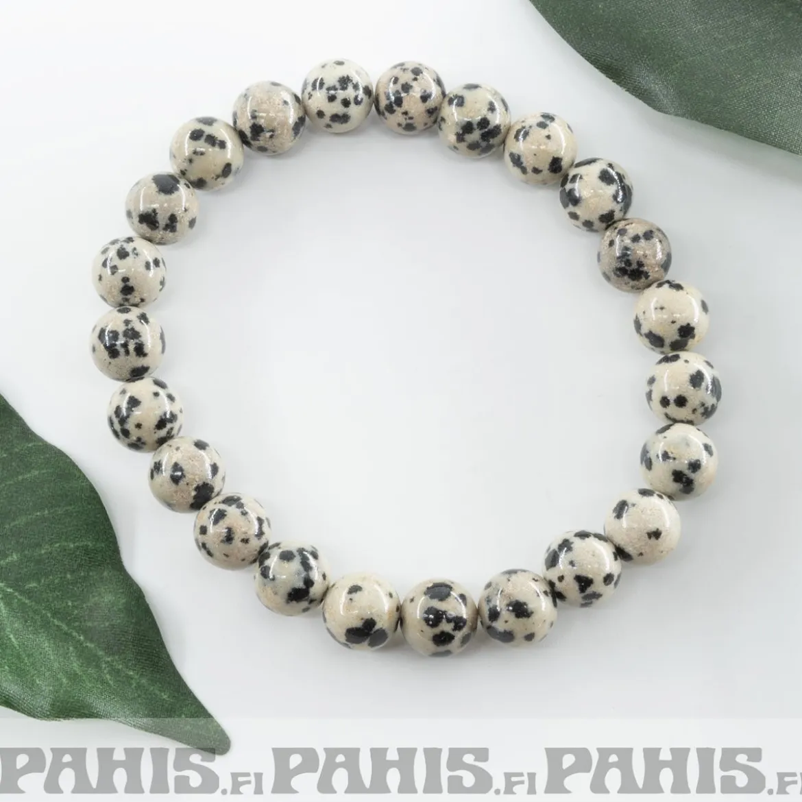 Dalmatian -Jaspis - Helmirannekoru