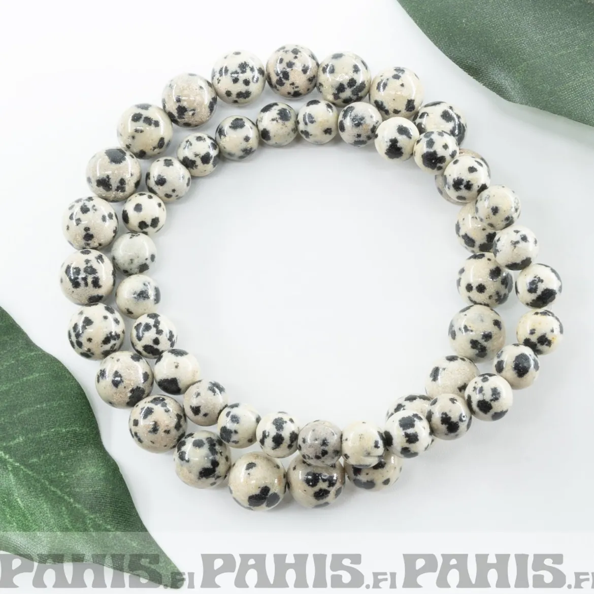 Dalmatian -Jaspis - Helmirannekoru