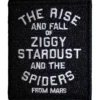 David Bowie: The Rise And Fall -Kangasmerkki