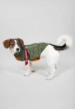 Dog MA-1 Jacket- koiran takki