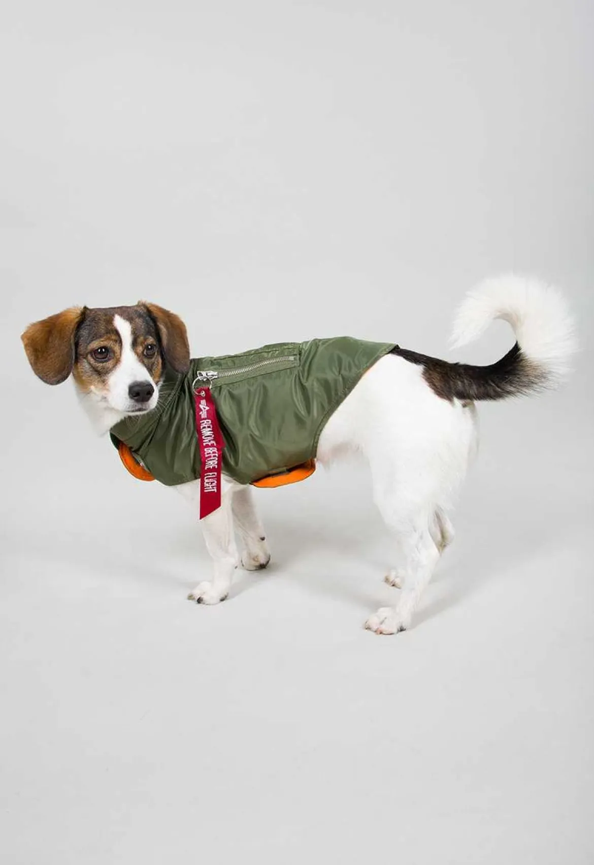 Dog MA-1 Jacket- koiran takki