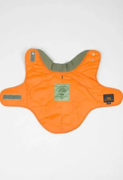 Dog MA-1 Jacket- koiran takki