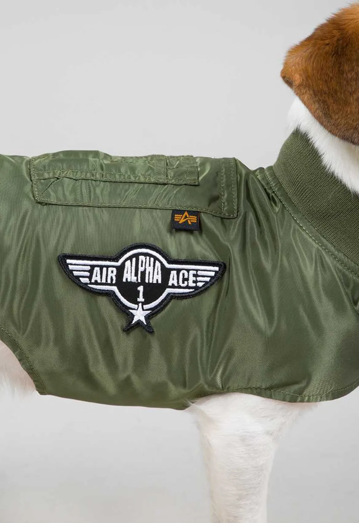 Dog MA-1 Jacket- koiran takki
