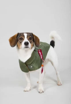 Dog MA-1 Jacket- koiran takki