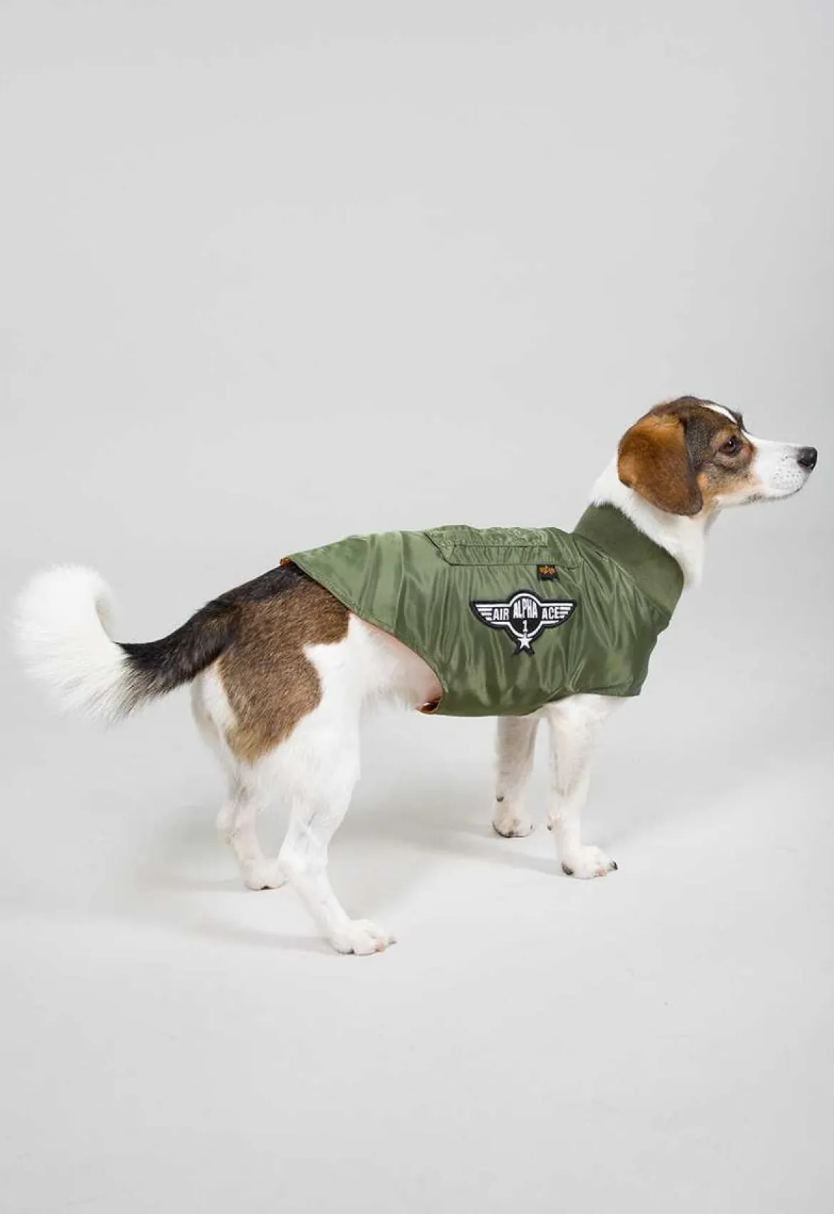 Dog MA-1 Jacket- koiran takki