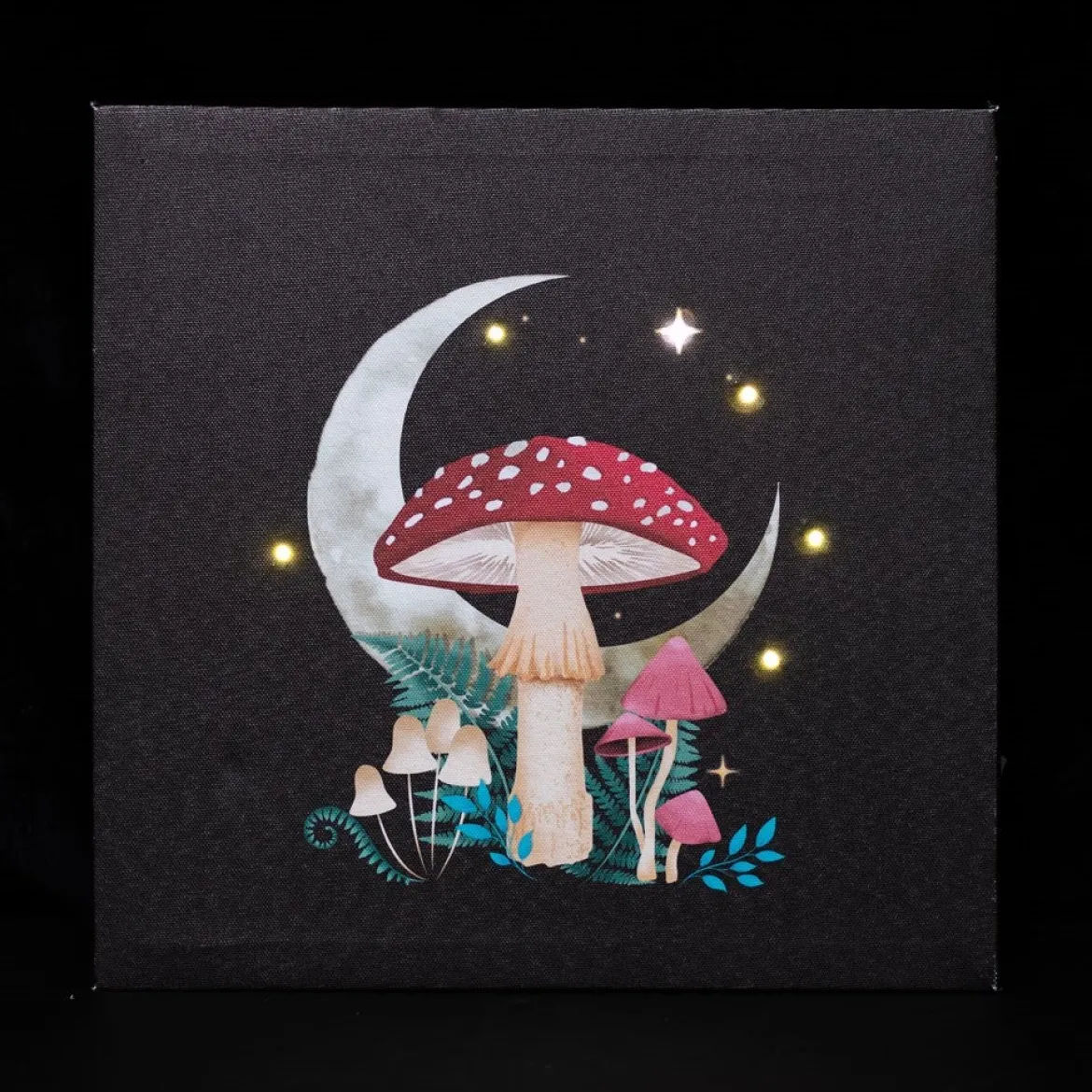 Forest Mushroom - Valotaulu
