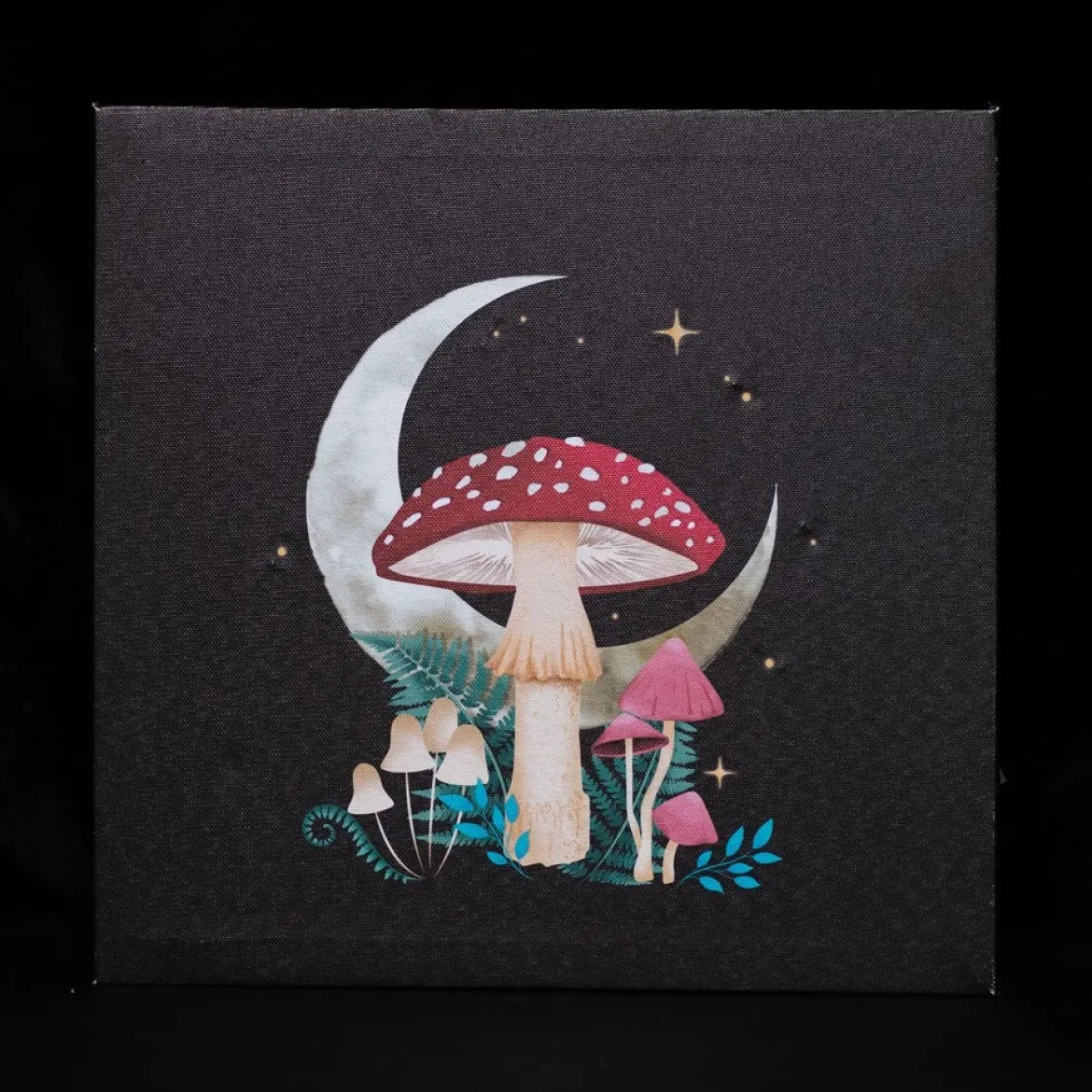 Forest Mushroom - Valotaulu