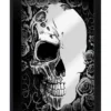 Half Dead - Kehystetty peili peltikyltti