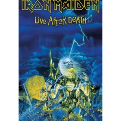 Iron Maiden Live after death - Seinälippu