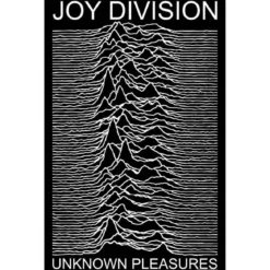 Joy Division: Unknown pleasures - Seinälippu