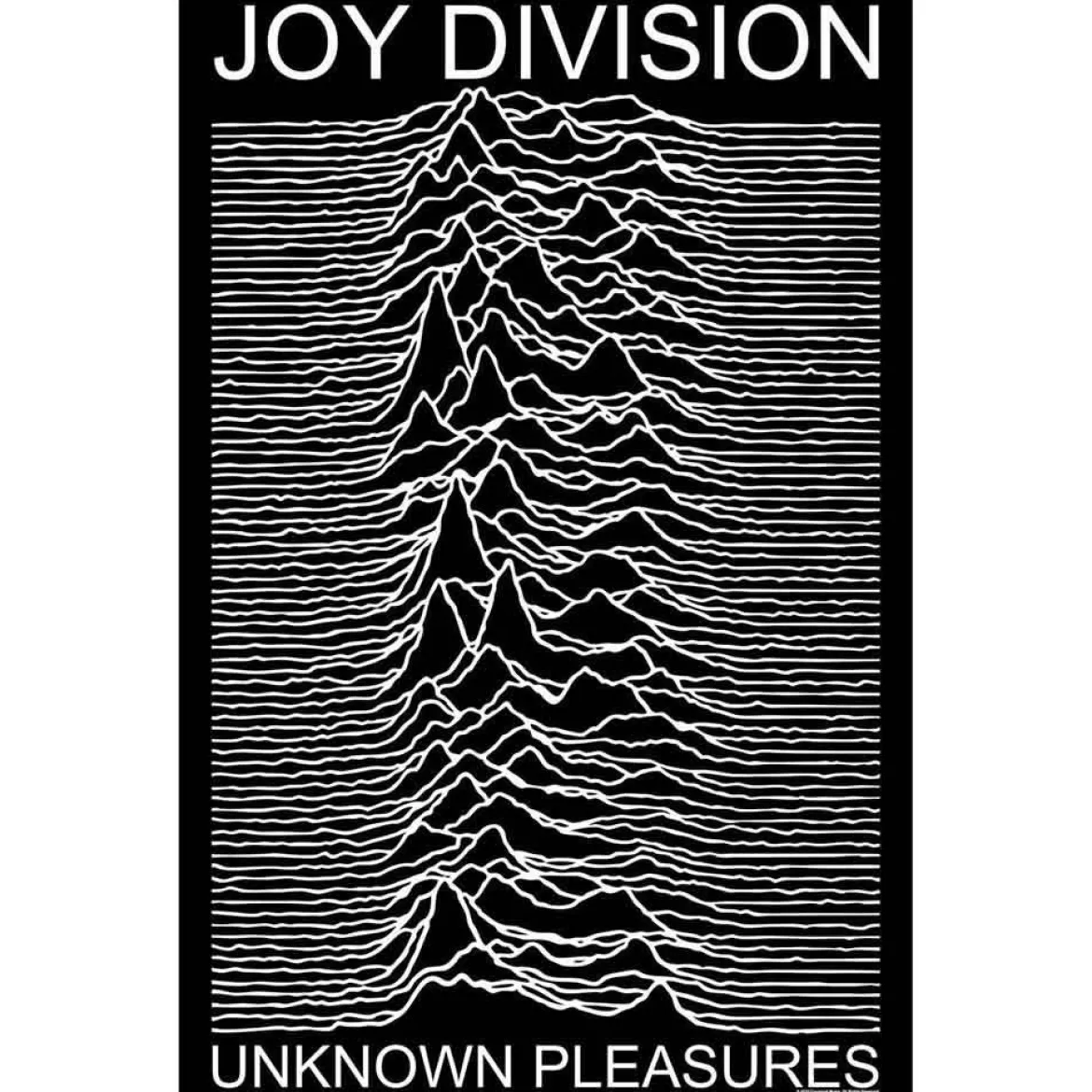 Joy Division: Unknown pleasures - Seinälippu
