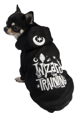 Killstar Wizard In Training - Lemmikin huppari