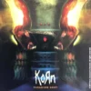 Korn Paradigm Shift - Lasinalunen