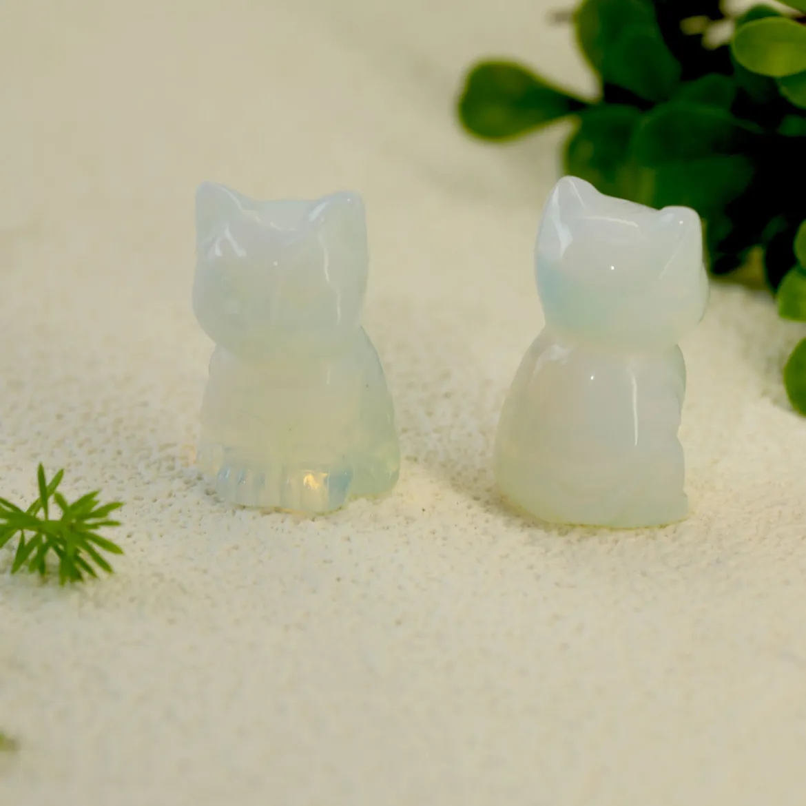 Mini kissa – Opaliitti