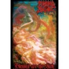 Morbid Angel 'Blessed Are The Sick'- Seinälippu
