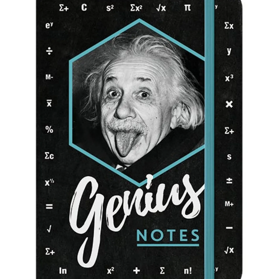 Muistikirja A5 - Einstein Genius Notes