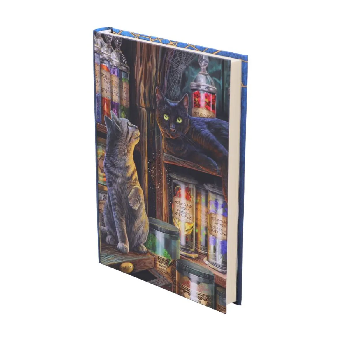 Nemesis Now Magical Emporium - A5 Muistikirja