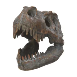Nemesis Now Tyrannosaurus Rex Skull - Koriste