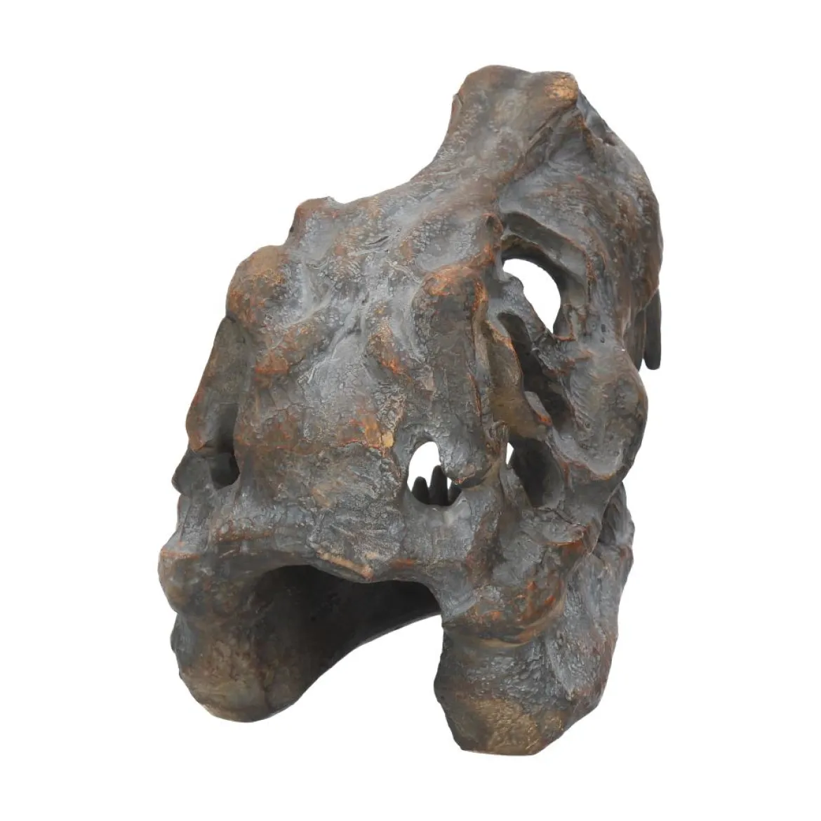 Nemesis Now Tyrannosaurus Rex Skull - Koriste